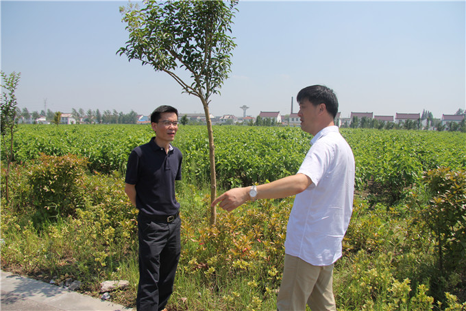 蘇豪股份深入開(kāi)展“三嚴(yán)三實(shí)”專題調(diào)研