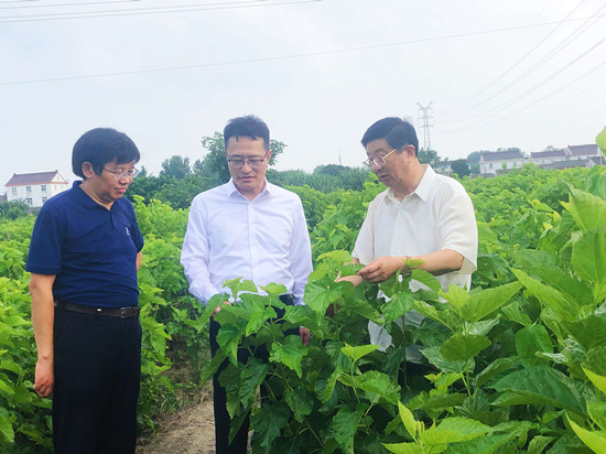 1659496349470187.jpg 丁海副總裁帶隊(duì)調(diào)研繭絲綢產(chǎn)業(yè)鏈一線2_副本.jpg